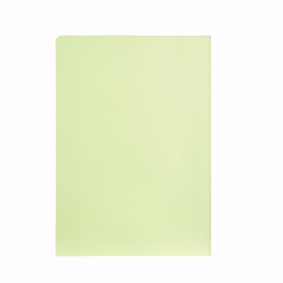 Caiet U / BOOK, A 5, 40 coli, rânduri largi, verde Gipta 177625 2