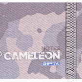 Caiet Cameleon cu elastic, 13 X 21 cm, 120 coli, rânduri largi, gri Gipta 177691 2