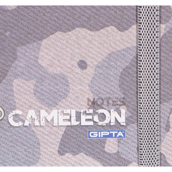 Caiet Cameleon cu elastic, 13 X 21 cm, 120 coli, rânduri largi, gri Gipta 177691 2