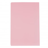 Caiet Pasteluri, 17 X 24 cm, 40 de coli, rânduri largi, roz Gipta 177966 2