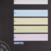 Caiet Pist cu elastic, 17 X 24 cm, 120 coli, rânduri largi, alb-negru Gipta 178200 4