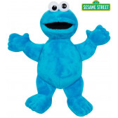 Jucărie de pluș - Cookie Monster, 25 cm Sesame street 178420 