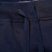 Pantaloni sport pentru bebeluși, băieți, albaștri Canada House 178517 3