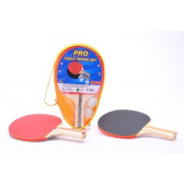 Set Ping Pong Dino Toys 18029 