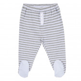 Pantaloni gri cu albastru din bumbac pentru bebeluși  Chicco 180721 