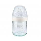 Biberon de sticlă de culoare albastră Nature Sense cu tetină cu debit mediu 0-6 luni, 240 ml NUK 181530 