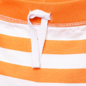 Pantaloni scurți pentru bebeluși, portocaliu  182574 3