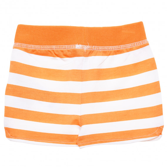 Pantaloni scurți pentru bebeluși, portocaliu  182575 2
