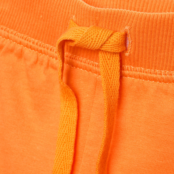 Pantaloni scurți pentru bebeluși, portocaliu  182577 6