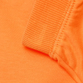 Pantaloni scurți pentru bebeluși, portocaliu  182578 7