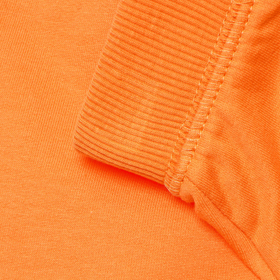 Pantaloni scurți pentru bebeluși, portocaliu  182578 7