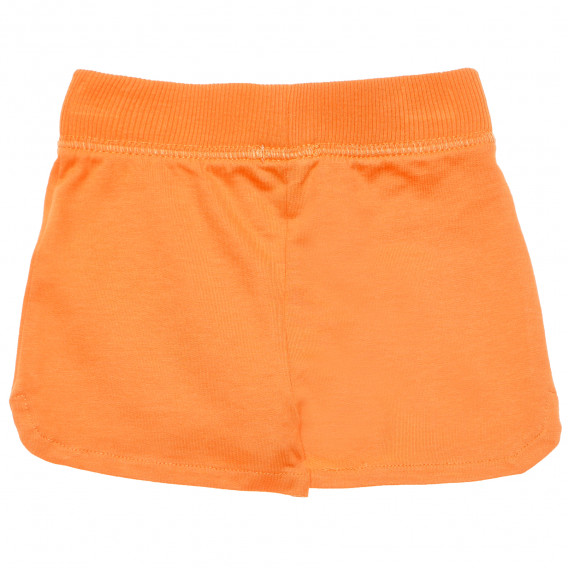 Pantaloni scurți pentru bebeluși, portocaliu  182579 5