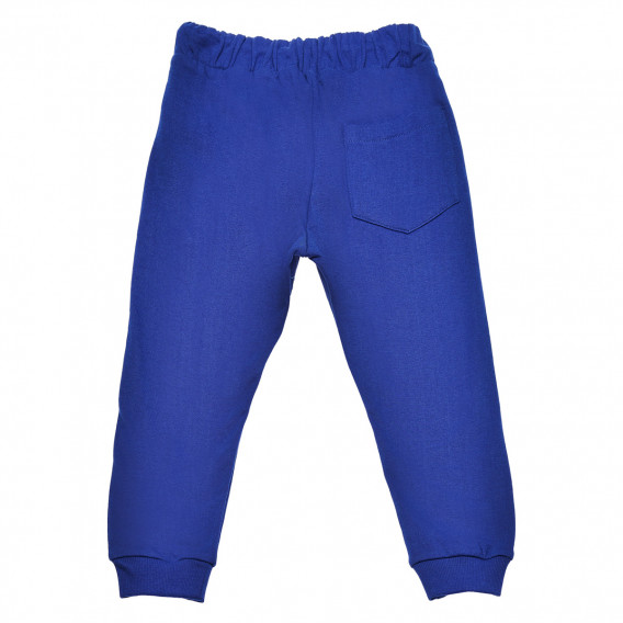 Pantaloni trening din bumbac, pentru băieți, albastru Trybeyond 183703 2