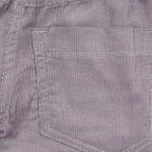 Pantaloni din bumbac cu detalii neon pentru băieței, gri Cool club 188898 3