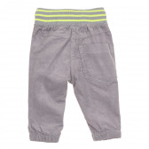 Pantaloni din bumbac cu detalii neon pentru băieței, gri Cool club 188899 4
