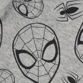 Pantaloni cu imprimeu Spiderman pentru băieți, gri Cool club 188949 3