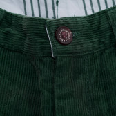 Pantaloni scurți din bumbac pentru băieței, verzi Neck & Neck 192717 4