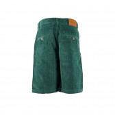 Pantaloni scurți din bumbac pentru băieței, verzi Neck & Neck 192720 6