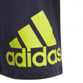Tricou din bumbac cu logo-ul mărcii pentru băieți, albastru închis Adidas 193119 4