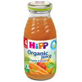Suc organic de mere și morcovi, 3-5 luni, recipient de sticlă de 200 ml. Hipp 19637 