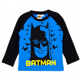 Bluză din bumbac cu mâneci lungi și imprimeu Batman pentru băieți, albastru Cool club 201525 