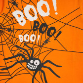 Bluză din bumbac cu mâneci lungi și imprimeu păianjen pentru băieți, portocaliu Cool club 203812 2
