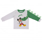 Pijamale de bumbac gri și verde cu imprimeu Mickey Mouse Mickey Mouse 203906 2