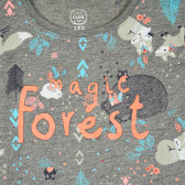 Bluză cu inscripția Pădurea Magică, gri Cool club 205440 2