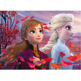 Puzzle 2 în 1 "Frozen Kingdom" SUPERMAXI 35 de piese Frozen 207063 2