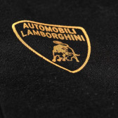 Costum sport Lamborghini Lamborghini 20961 2
