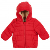Geacă de iarnă cu căptușeală pentru un bebeluși cu logo brodat al mărcii, roșie Benetton 213552 