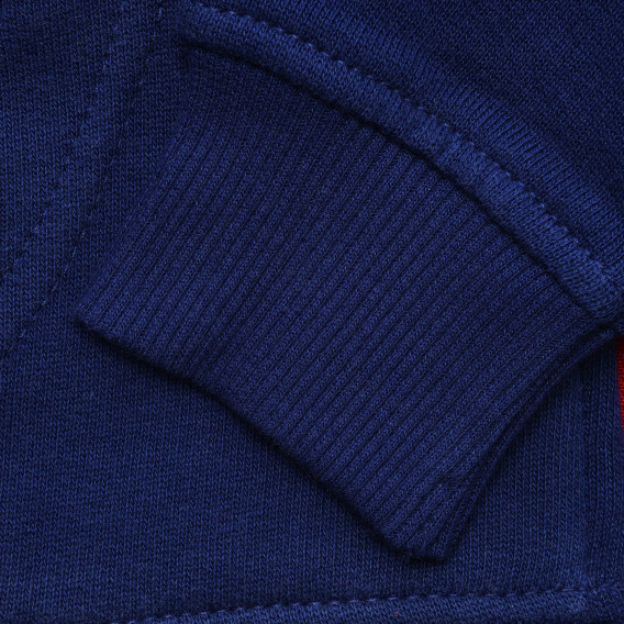 Hanorac din bumbac cu logo brodat pentru bebeluși, albastru Benetton 215922 3