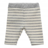 Pantaloni tip - colanți de bebeluși Chicco 216389 