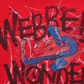 Bluză din bumbac cu imprimeu Spiderman, roșie Benetton 221368 2