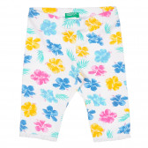 Colanți scurți din bumbac cu imprimeu floral și dantelă pentru fetițe, de culoare albă Benetton 221672 