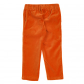 Pantaloni din bumbac cu talie elastică, portocaliu Benetton 221983 3