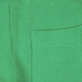 Pantaloni sport de bumbac pentru băieței, verzi Benetton 223628 3