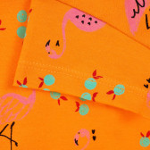 Bluză din bumbac cu imprimeu flamingo, pentru copii, portocaliu Benetton 225013 3