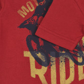 Tricou din bumbac cu imprimeu motociclist, roșu Benetton 225474 3