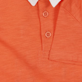 Bluză din bumbac cu accente albe pentru bebeluș, portocaliu Benetton 225582 3