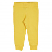 Pantaloni sport din bumbac pentru bebeluși, galbeni Benetton 228952 