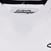 Tricou din bumbac cu logo-ul mărcii și mâneci contrastante Lamborghini 230206 3