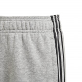 Pantaloni scurți Essentials, gri Adidas 230992 5