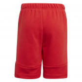 Pantaloni scurți Essentials, roșu Adidas 231006 2