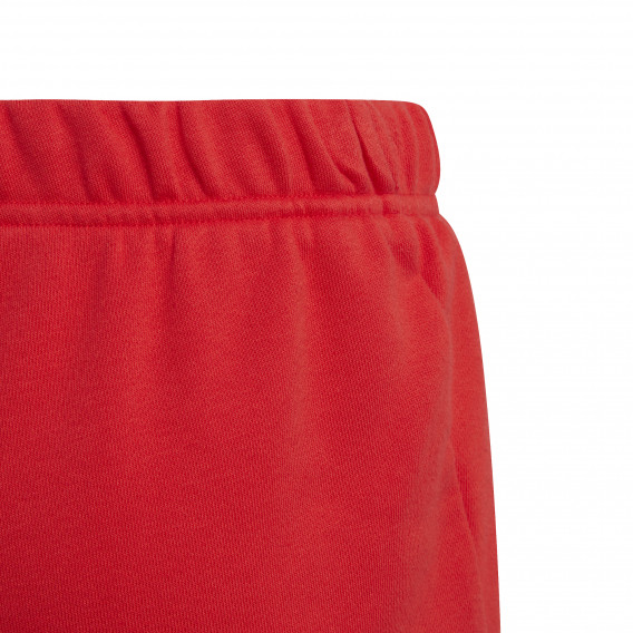Pantaloni scurți Essentials, roșu Adidas 231007 3