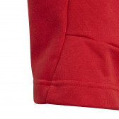 Pantaloni scurți Essentials, roșu Adidas 231008 4