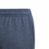 Pantaloni scurți Essentials, albastru Adidas 231046 3