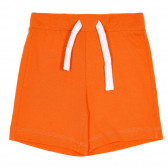 Pantaloni scurți din bumbac cu logo-ul mărcii pentru bebeluși, portocalii Benetton 232110 