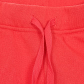 Pantaloni din bumbac cu aplicație urs pentru bebeluș, albastru închis Benetton 232397 6