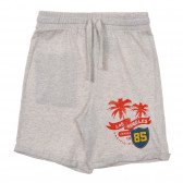 Pantaloni scurți din bumbac cu imprimeu palmier, culoare gri Benetton 232901 
